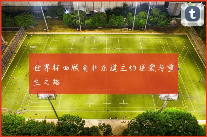 世界杯回顾南非东道主的逆袭与重生之路